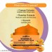 Regolith Vitamin-C Advanced Multivitamin Face Cream Daily Illuminating Moisturizer for Glowing Skin,Vitamin C face brightening cream pack of 3