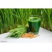 Wheatgrass Powder For Teeth |Hair Care | Eating | Drink | Diabetes | Immunity Booster - 100Gram(Pack of 2)